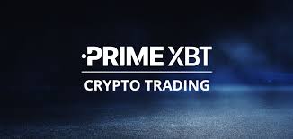Explore the Features and Benefits of the PrimeXBT Website Explore the Features and Benefits of the PrimeXBT Website