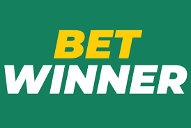 Discover the Excitement of BetWinner Online Casino FR 14