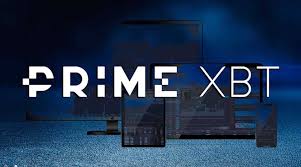 Exploring the World of PrimeXBT Forex Trading 17