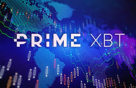 Exploring the World of PrimeXBT Forex Trading 17