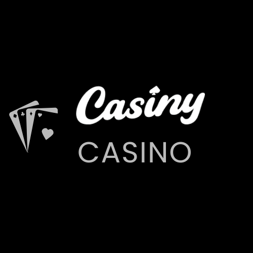 The Ultimate Guide to Casiny App