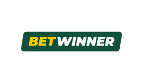 Explore the Thrills of Betwinner Casino Your Ultimate Gaming Experience